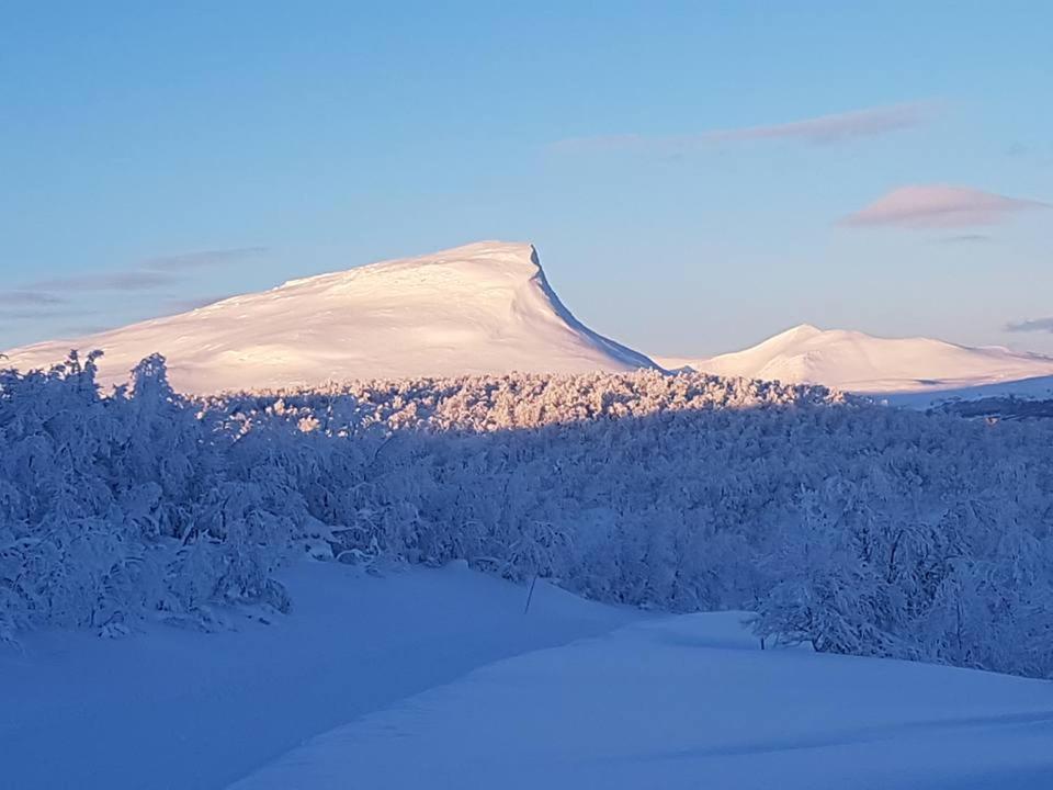 Bruksvallarna - Modern Fjaellstuga Med Panoramautsikt Och Wifi Экстерьер фото